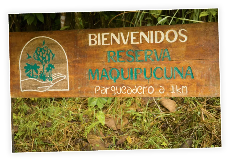 cartel
